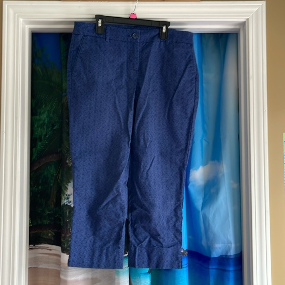 Nice Hilary Radley Capri pants